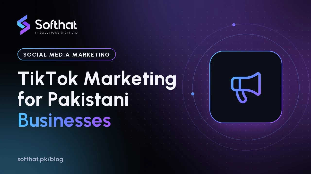 TikTok marketing plan for a Pakistani business, showing organic content and paid ads working together