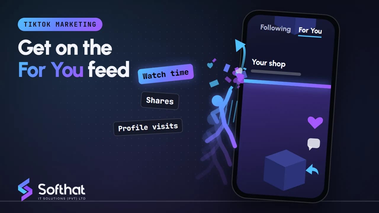 TikTok marketing plan for a Pakistani business, showing organic content and paid ads working together